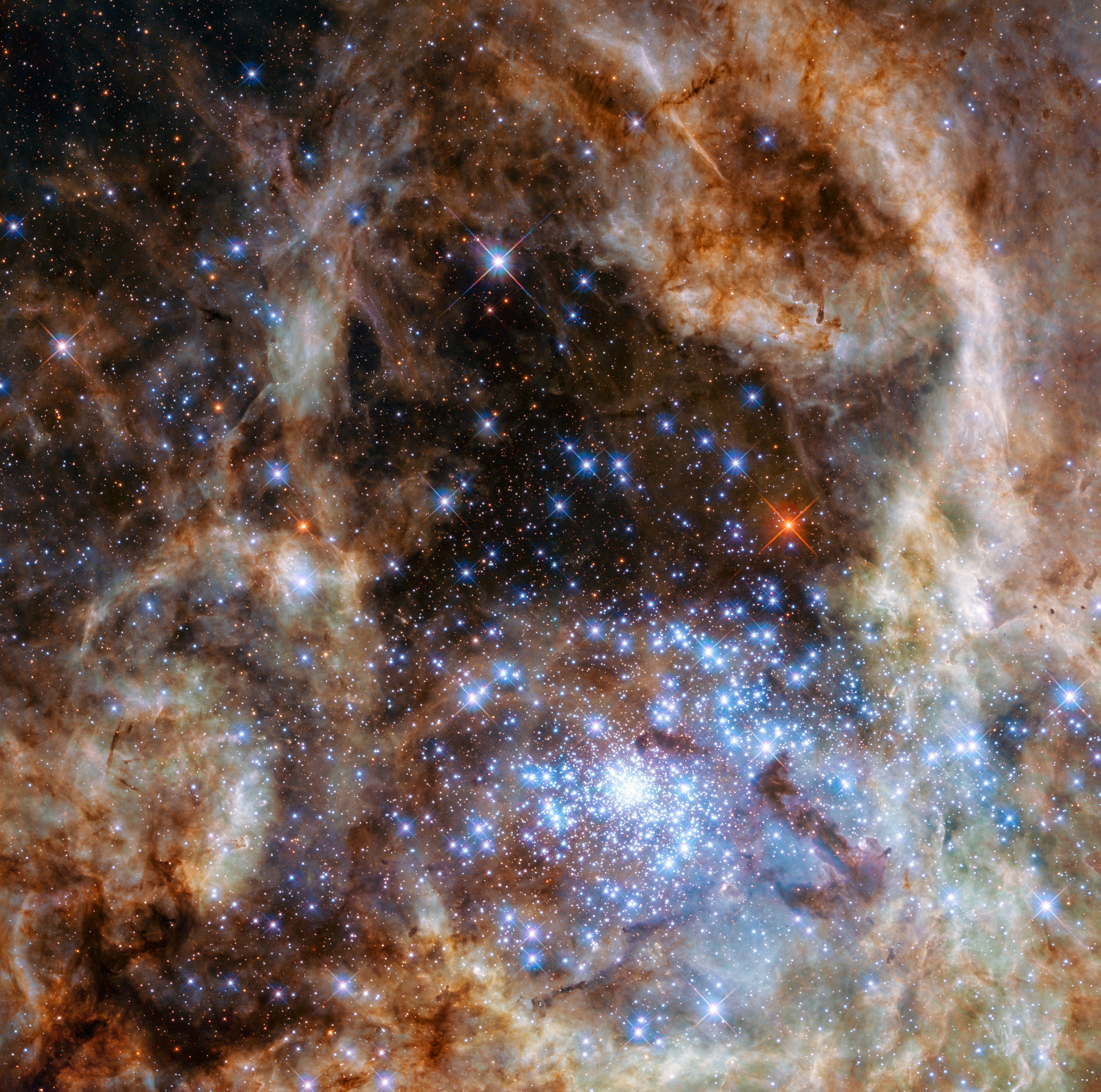 Star Clusters